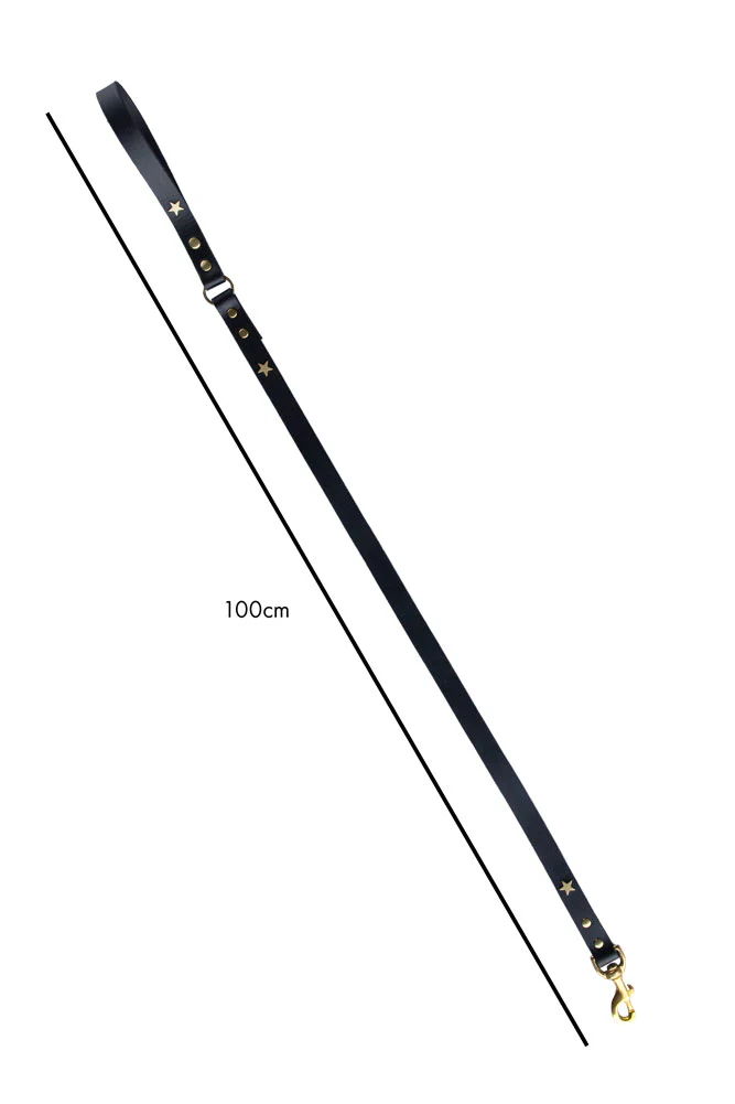 Black Leather Dog Lead With Stars - Image 11