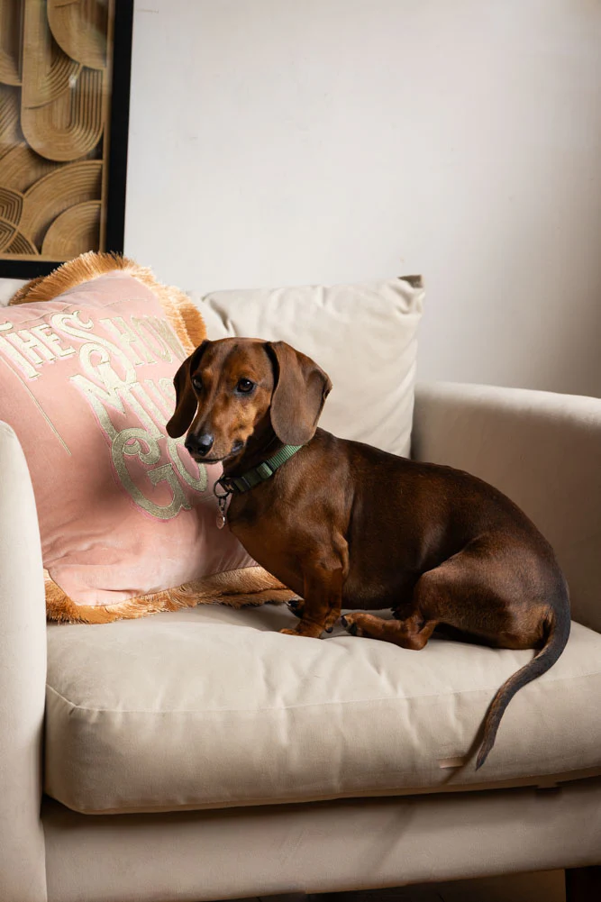 Pink Velvet Double-Fringed Show Must Go On Embroidered Cushion - Image 2