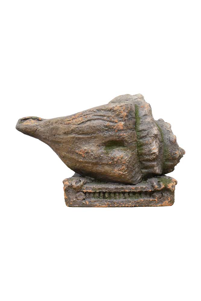 Large Shell Planter - Image 10