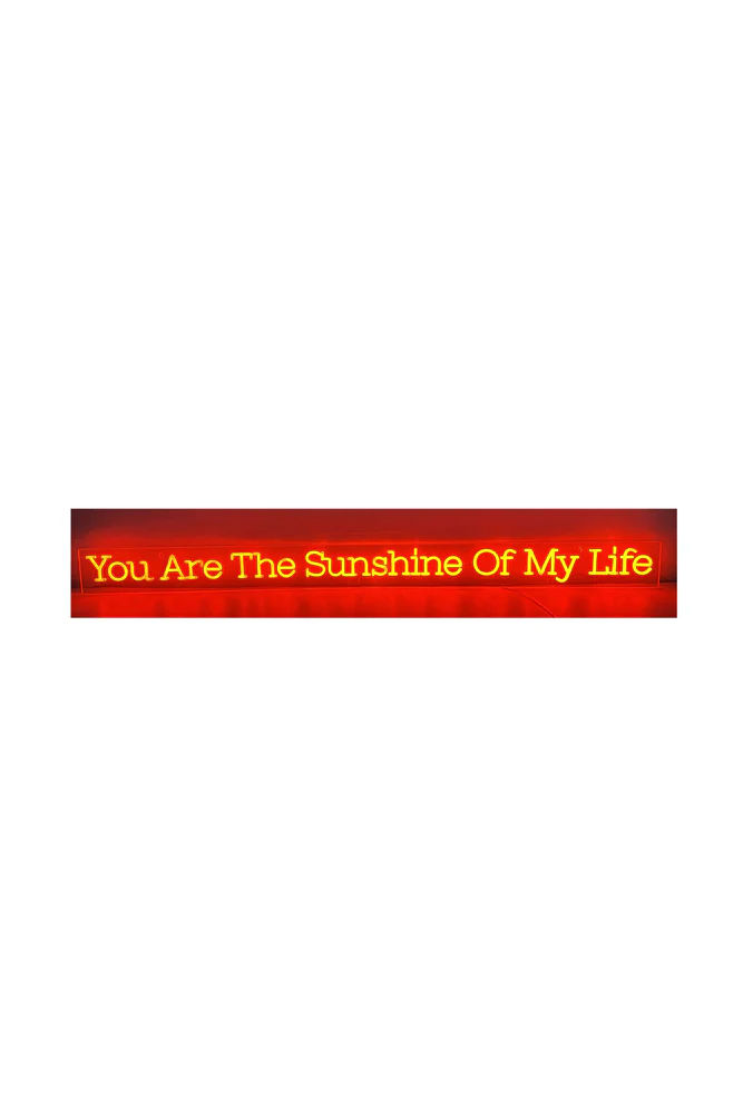 You Are The Sunshine To My Life Neon Wall Light - Image 7