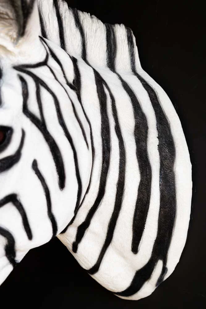 Zebra Head Wall Art - Image 7